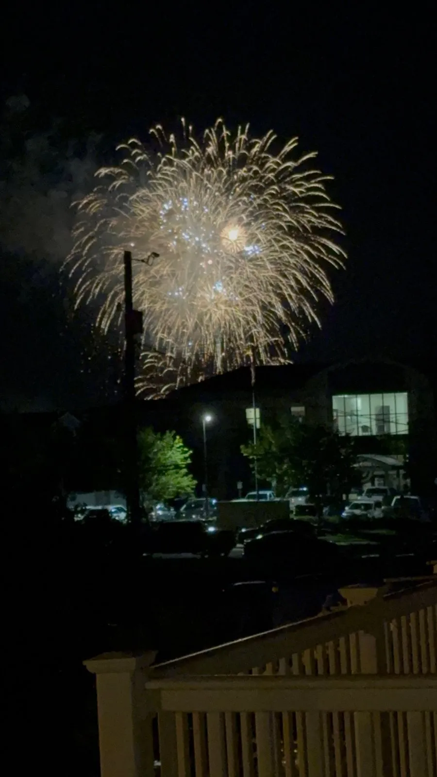 Night in Venice fireworks, seen from our deck